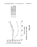 Dendritic cells loaded with heat shocked melanoma cell bodies diagram and image