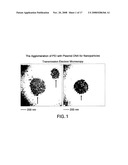 Delivery of micro- and nanoparticles with blood platelets diagram and image