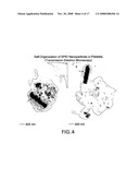 Delivery of micro- and nanoparticles with blood platelets diagram and image