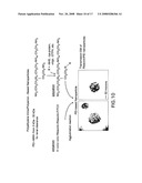 Delivery of micro- and nanoparticles with blood platelets diagram and image