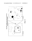 Delivery of micro- and nanoparticles with blood platelets diagram and image