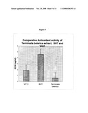 Method for the enrichment of the polyphenolic contents from unripe fruit rinds of Terminalia belerica and uses thereof diagram and image