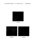 Process for coating a substrate diagram and image