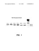 GENOMIC POLYMORPHISM FOR PREDICTING THERAPEUTIC RESPONSE diagram and image