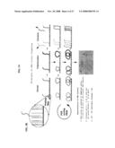 Method of nucleic acid amplification diagram and image