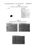 Method of nucleic acid amplification diagram and image