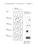 Method of nucleic acid amplification diagram and image