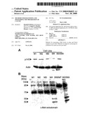 Methods for Diagnosing and Monitoring the Progression of Cancer diagram and image