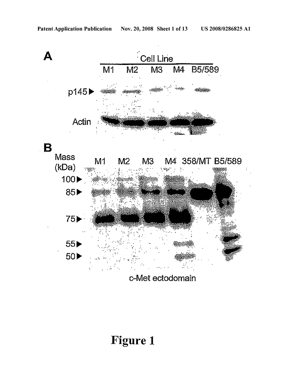 Methods for Diagnosing and Monitoring the Progression of Cancer - diagram, schematic, and image 02