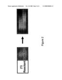 Nanostructure Enhanced Luminescent Devices diagram and image