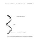 Methods and Systems for Nanoparticle Enhancement of Signals diagram and image