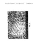 Biodegradable Continuous Filament Web diagram and image