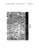 Biodegradable Continuous Filament Web diagram and image