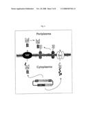 Mixture of at Least Two Fusion Proteins as Well as Their Production and Use diagram and image