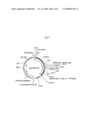 Mixture of at Least Two Fusion Proteins as Well as Their Production and Use diagram and image