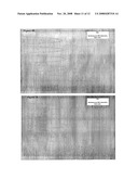 Human Sweet and Umami Taste Receptor Variants diagram and image