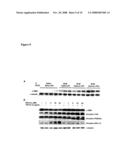 Compositions and Methods Relating to Protein Kinase Inhibitors diagram and image