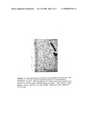 Amphiphilic Block Copolymer-Toughened Thermoset Resins diagram and image