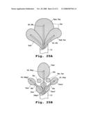 TISSUE ABLATION APPARATUS AND METHOD diagram and image