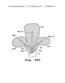 TISSUE ABLATION APPARATUS AND METHOD diagram and image