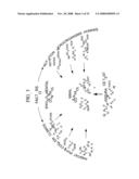 Methods for developing animal models diagram and image