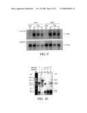 Methods for developing animal models diagram and image