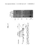 Methods for developing animal models diagram and image