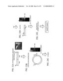 Methods for developing animal models diagram and image