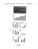 Sorghum aluminum tolerance gene, SbMATE diagram and image