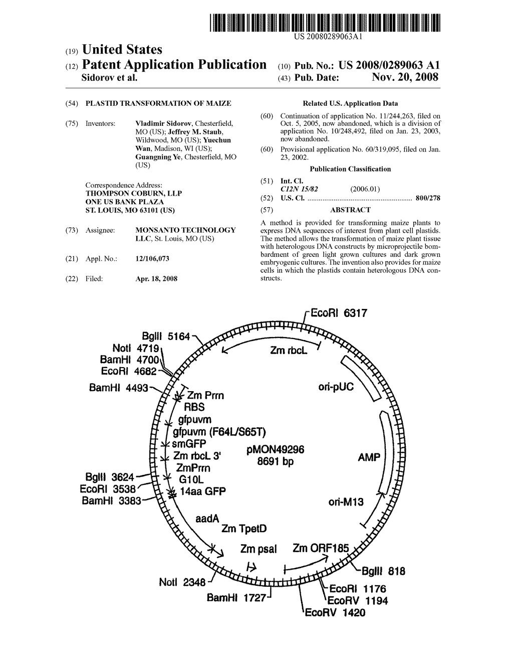 Plastid Transformation of Maize - diagram, schematic, and image 01