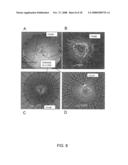 DIFFUSION-HARDENED MEDICAL IMPLANT diagram and image