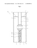 DOWNHOLE BLOWOUT PREVENTOR diagram and image