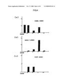 Image Processing Device, Image Processing Method, Image Processing Program Product, and Imaging Device diagram and image