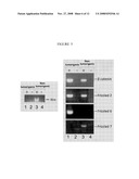 COMPOSITIONS AND METHODS FOR TREATING AND DIAGNOSING CANCER diagram and image