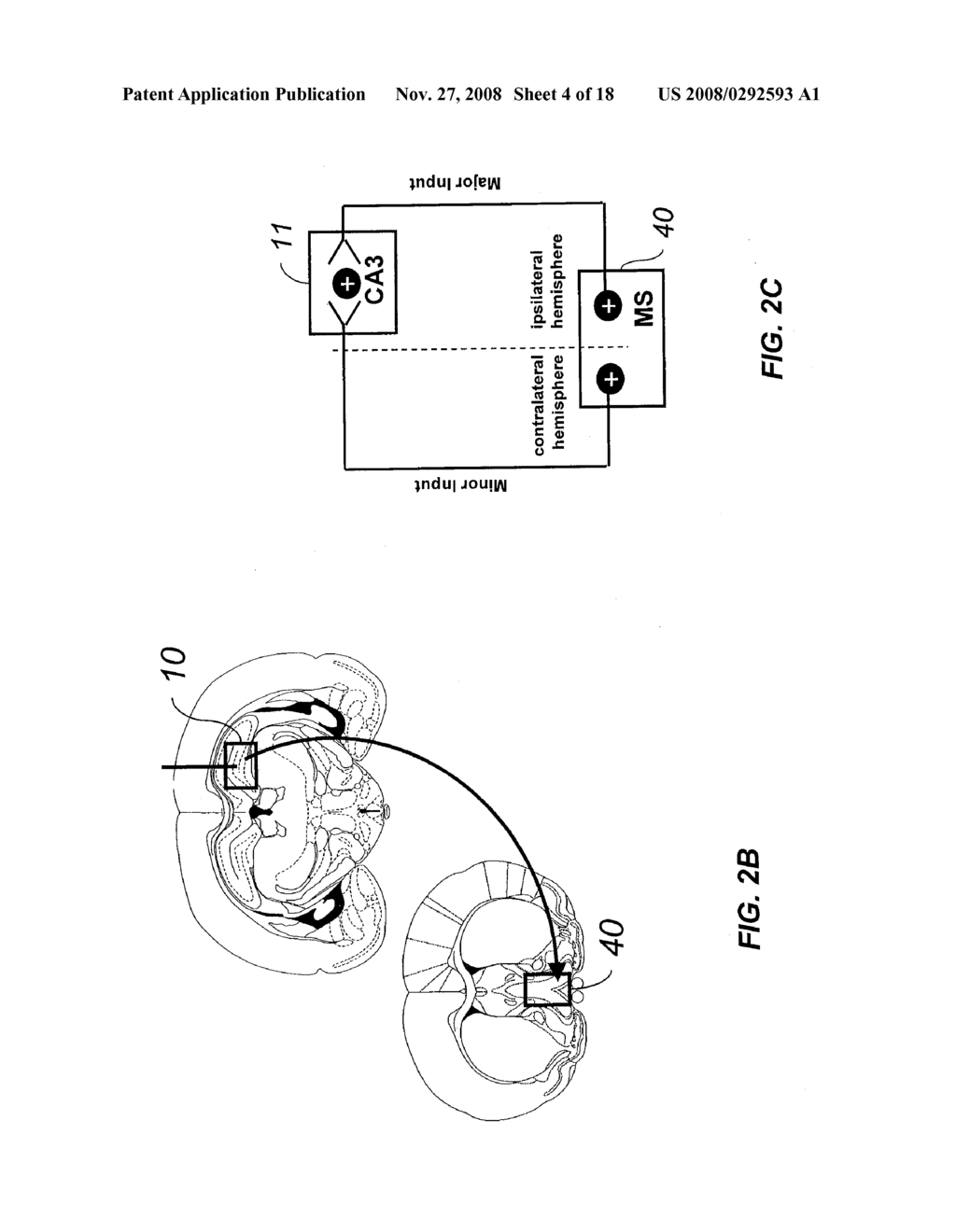 GENE THERAPY FOR SPINAL CORD DISORDERS - diagram, schematic, and image 05