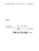 PRLR-Specific Antibody and Uses Thereof diagram and image