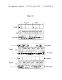 PRLR-Specific Antibody and Uses Thereof diagram and image