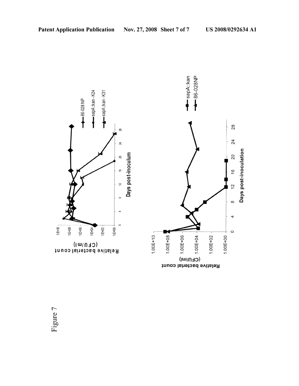 Nontypable Haemophilus Infuenzae Virulence Factors - diagram, schematic, and image 08