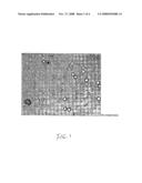 Hypercompressed polymer particles for controlled release ophthalmic medications diagram and image