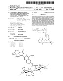 Antitumoral Bioconjugates of Hyaluronic Acid or Its Derivatives Obtained by Indirect Chemical Conjugation, and Their Use in the Pharmaceutical Field diagram and image