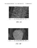 ONE-DIMENSIONAL METAL AND METAL OXIDE NANOSTRUCTURES diagram and image