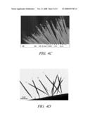 ONE-DIMENSIONAL METAL AND METAL OXIDE NANOSTRUCTURES diagram and image