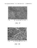 ONE-DIMENSIONAL METAL AND METAL OXIDE NANOSTRUCTURES diagram and image