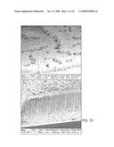 Electrically and thermally conductive carbon nanotube or nanofiber array dry adhesive diagram and image