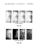 Chrome Free Composition for Metal Surface Treatment and Surface-Treated Metal Sheet diagram and image