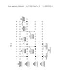 Gene analysis for determination of a treatment characteristic diagram and image