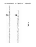 COMPOSITIONS AND METHODS FOR PRODUCING APOLIPOPROTEIN diagram and image