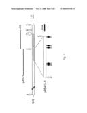 Hyaluronate synthase gene and uses thereof diagram and image