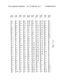 Hyaluronate synthase gene and uses thereof diagram and image