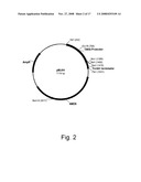 Methods for degrading or converting plant cell wall polysaccharides diagram and image